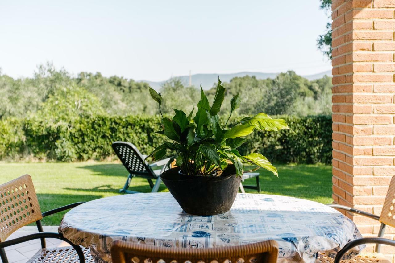Agriturismo Casa Andreina カスティリオーネ・デッラ・ペスカーイア エクステリア 写真