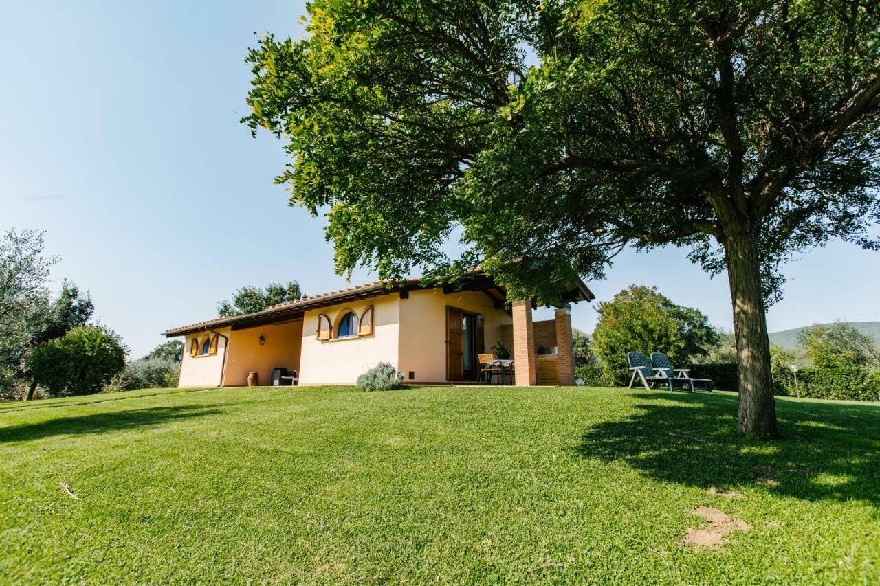 Agriturismo Casa Andreina カスティリオーネ・デッラ・ペスカーイア エクステリア 写真
