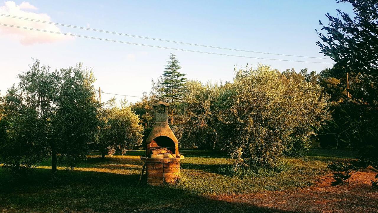 Agriturismo Casa Andreina カスティリオーネ・デッラ・ペスカーイア エクステリア 写真